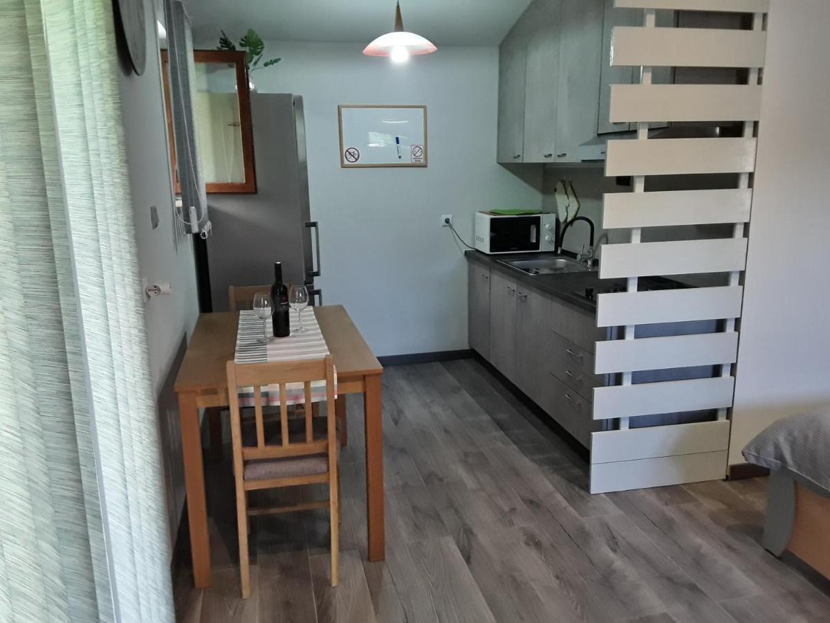 Apartman Studio Erin Ρόβινι Εξωτερικό φωτογραφία